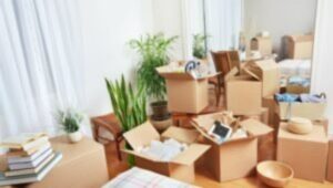 Perfect Cargo Movers and Packers Kalyani Nagar Pune