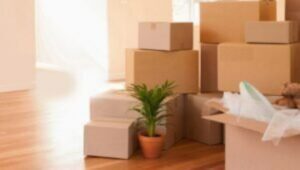 Perfect Cargo Movers and Packers Katraj Pune