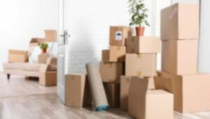 Perfect Cargo Movers and Packers Paud Road Pune