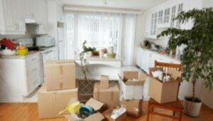 Perfect Cargo Movers and Packers Tathawade Pune